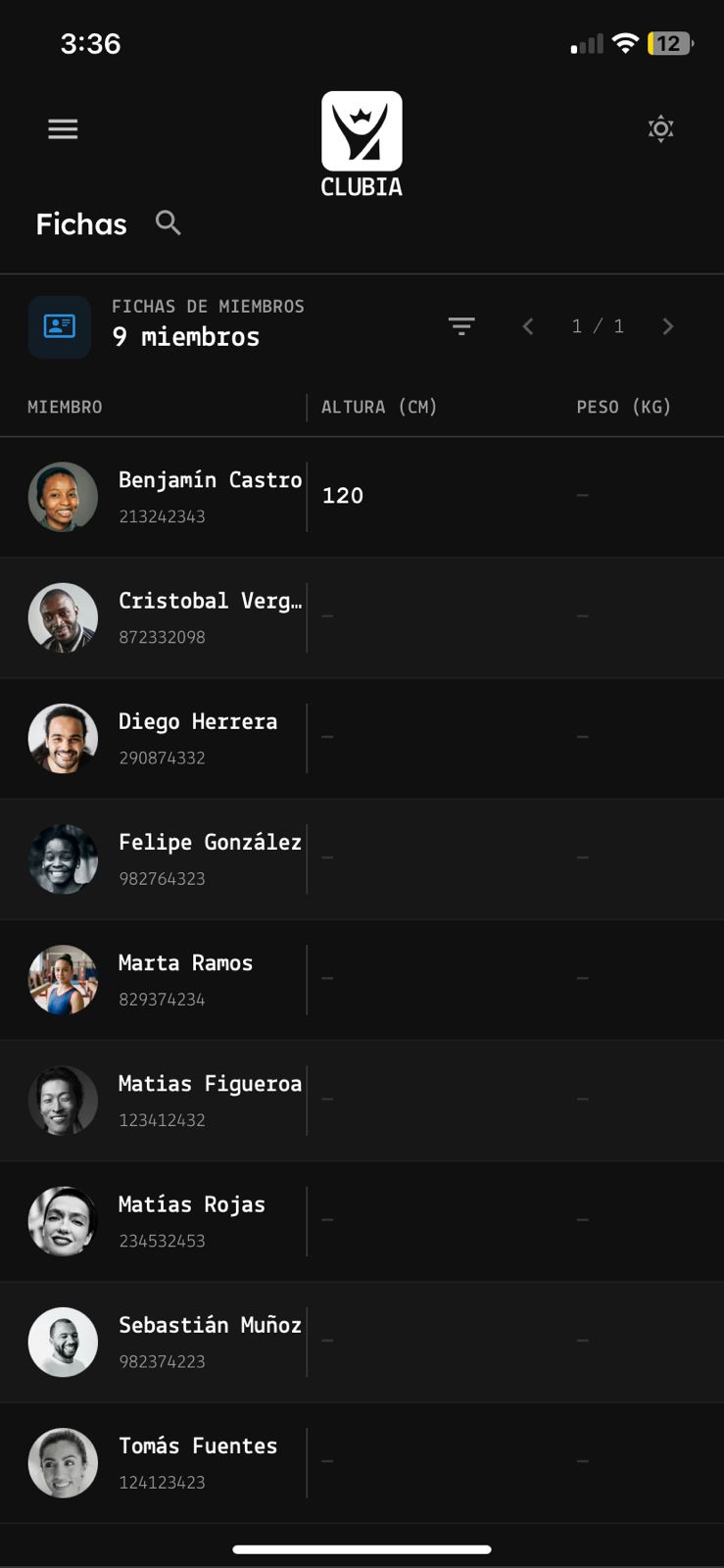 Fichas personalizadas